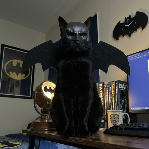 Catman Costume Set